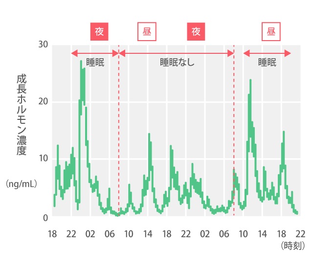 睡眠、メラトニン、不妊